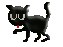 Black Cat